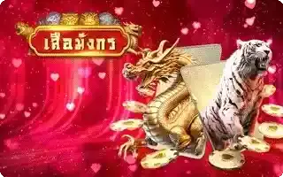 Tiger Dragon By Hotwin888